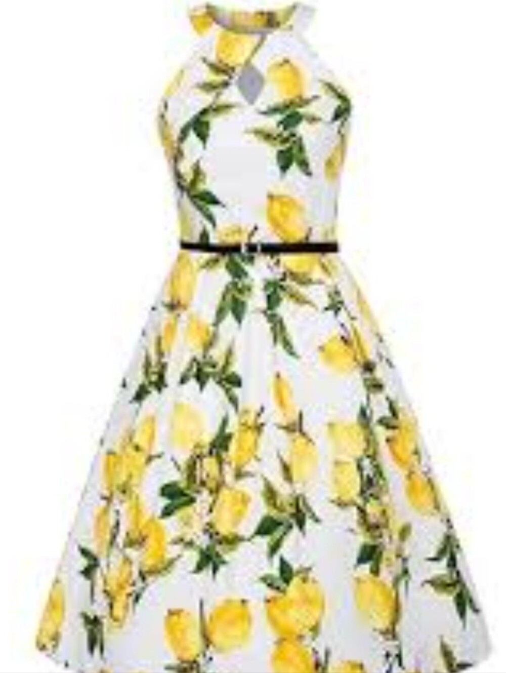 Bella Poque Vibrant Dress With Lemons